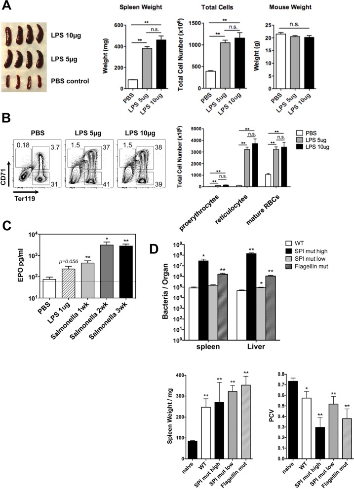 FIG 2