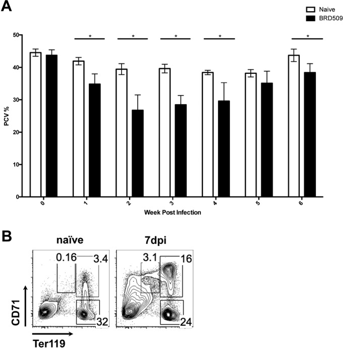 FIG 1