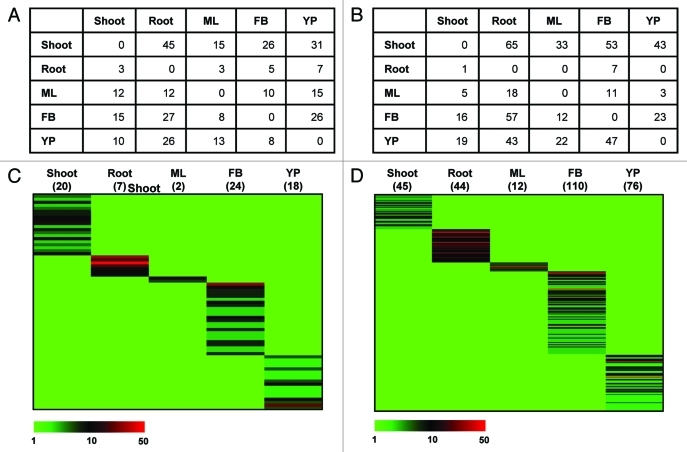 Figure 1.