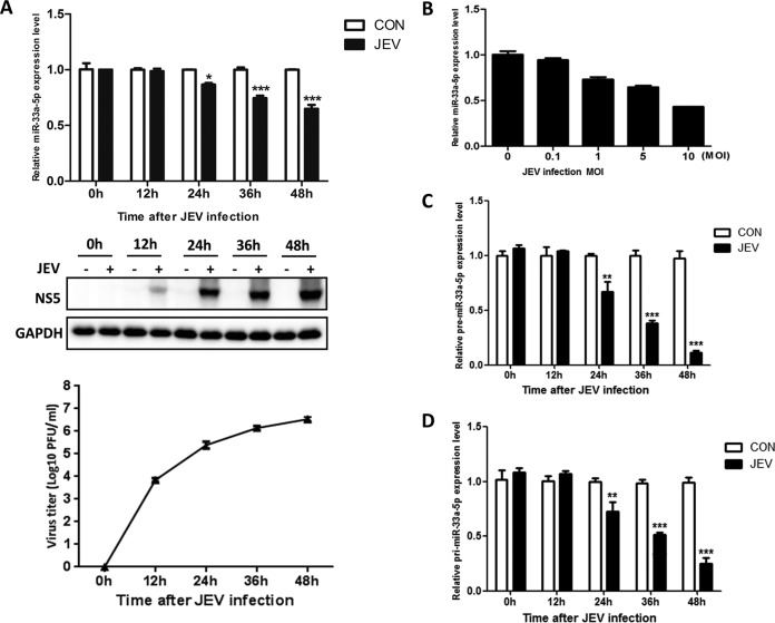 FIG 1