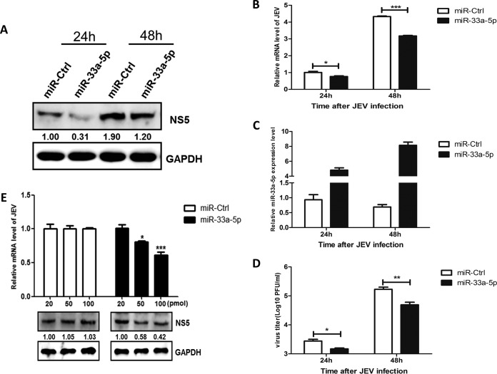 FIG 2