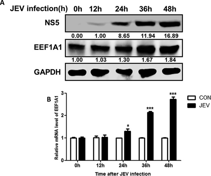 FIG 4