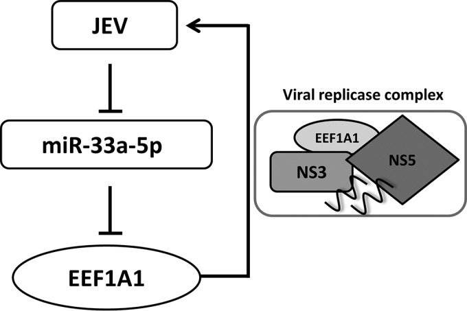 FIG 9