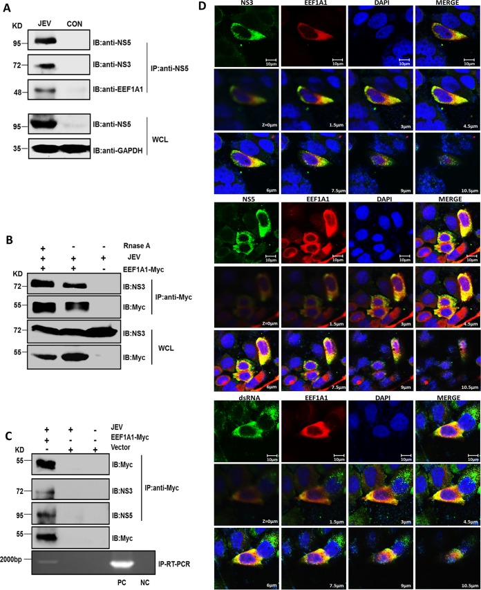 FIG 6