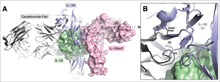 Figure 5.