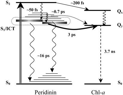 Fig 4.