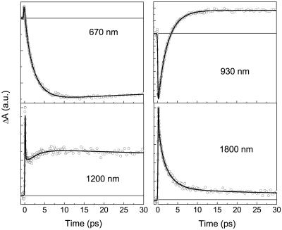 Fig 3.