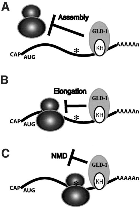 Figure 7.