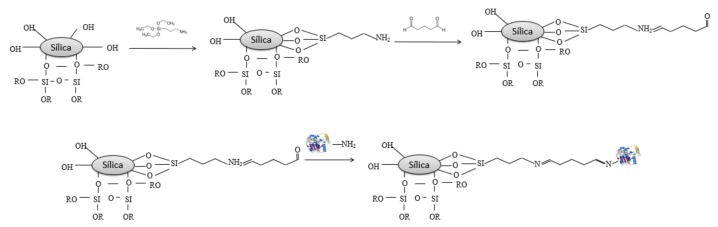 Scheme 1