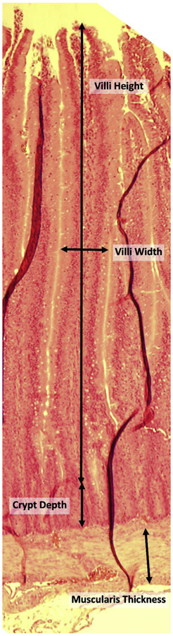 Figure 5: