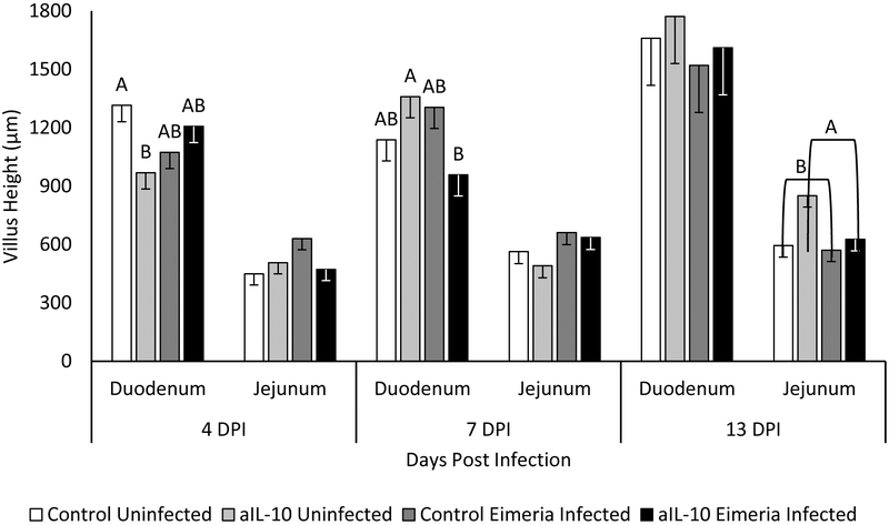 Figure 6: