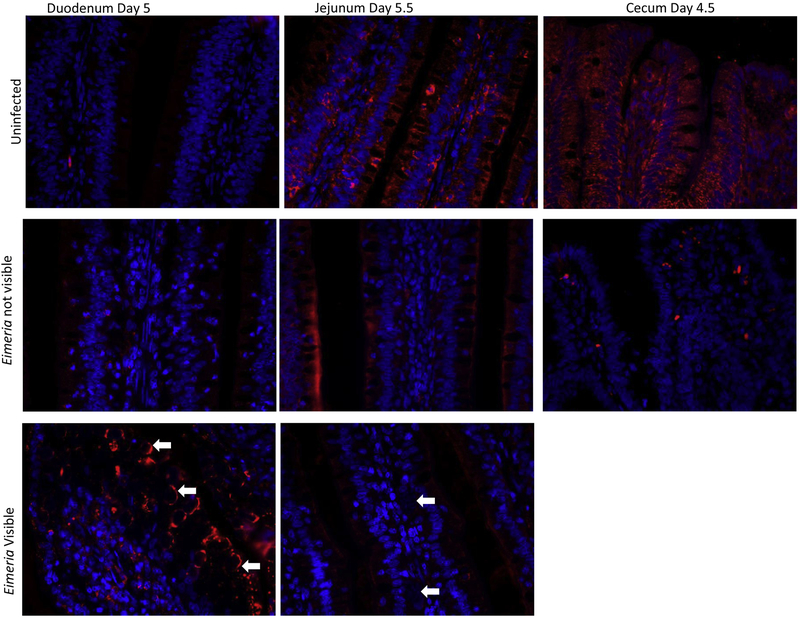 Figure 4: