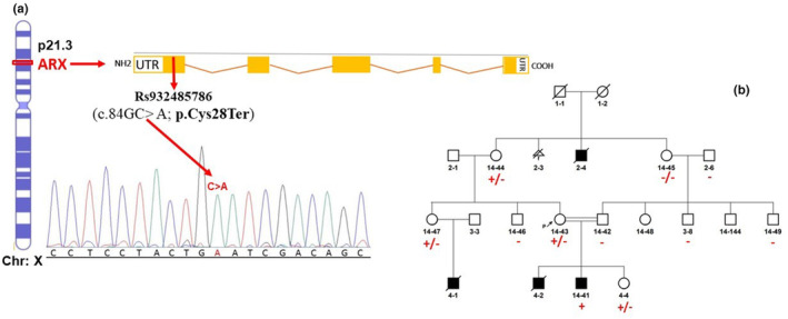 FIGURE 2