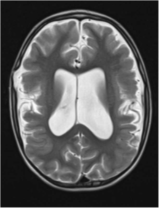 FIGURE 1