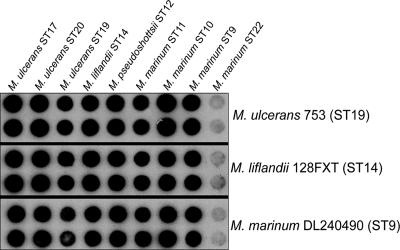 FIG. 2.