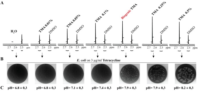 FIG 3 