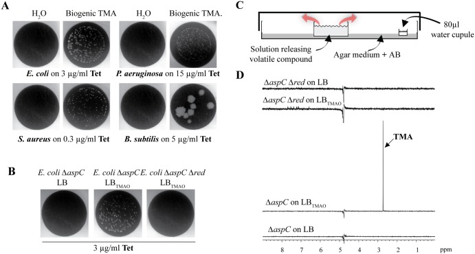 FIG 2 