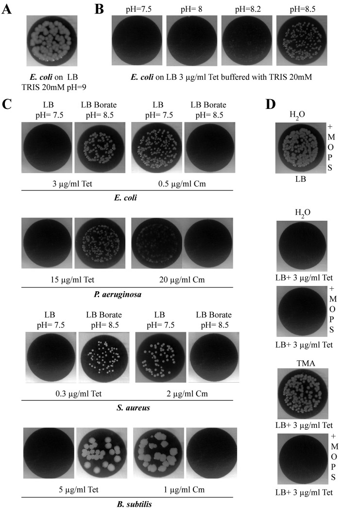 FIG 6 