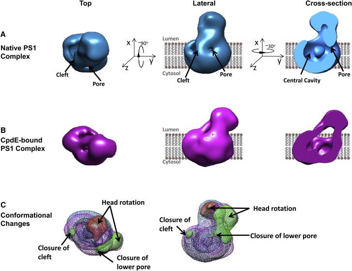 Figure 7