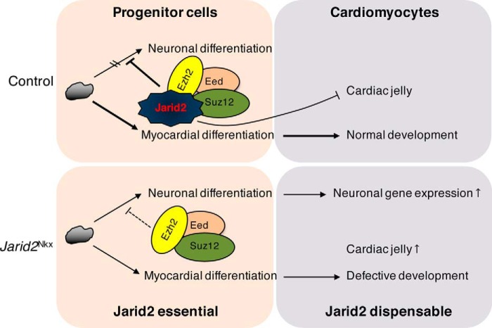 Figure 7.