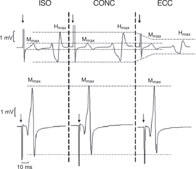 Fig 4