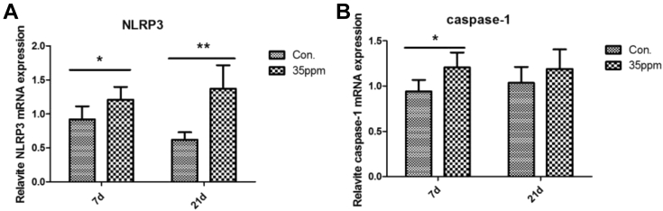 Figure 5