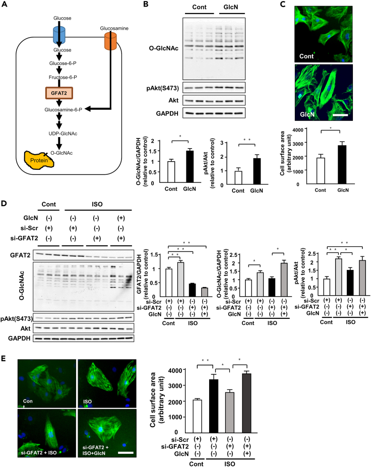 Figure 4