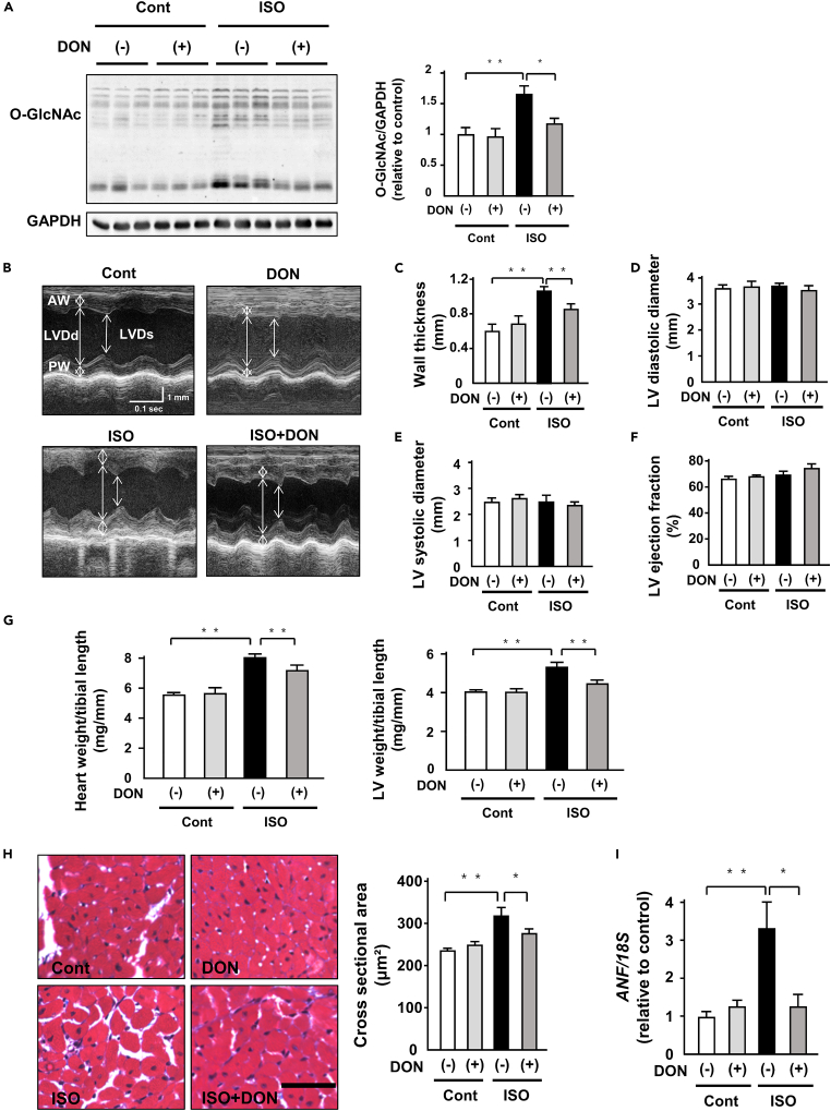 Figure 6