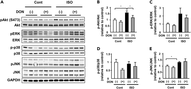 Figure 7