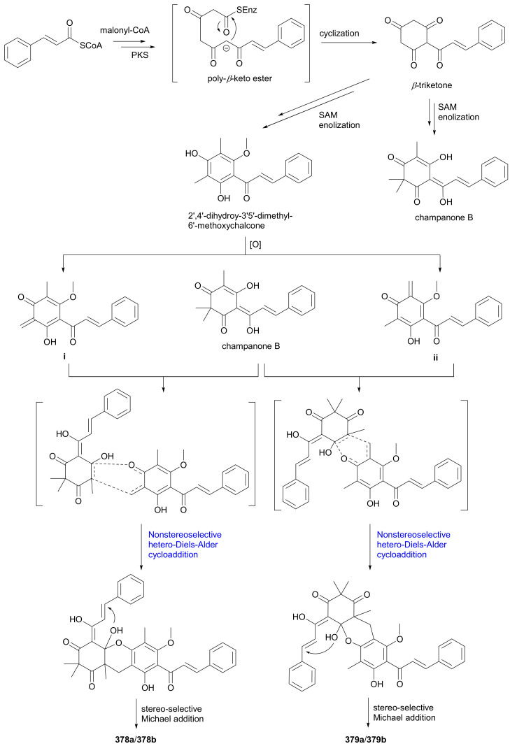 Scheme 5