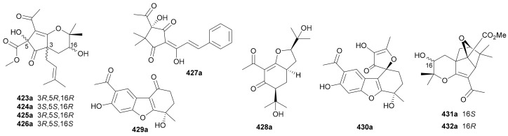 Figure 24