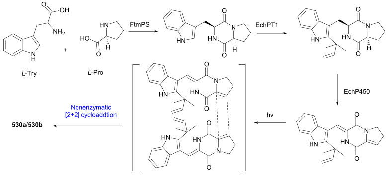 Scheme 10