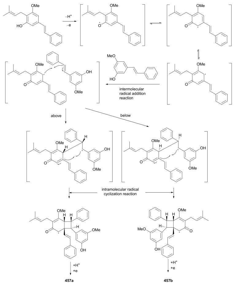 Scheme 7