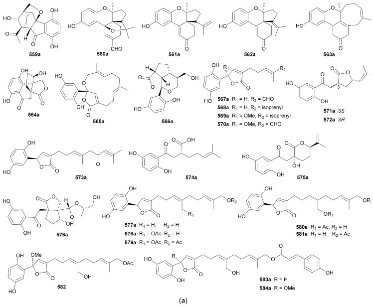 Figure 31