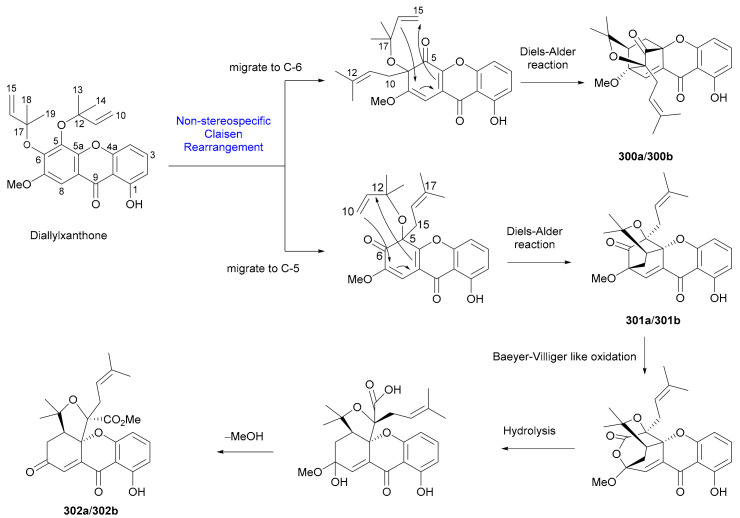 Scheme 4