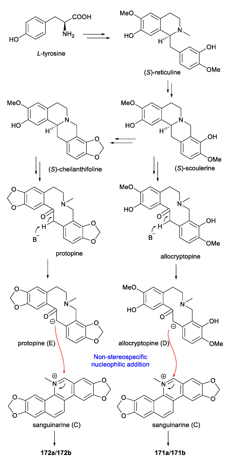 Scheme 3