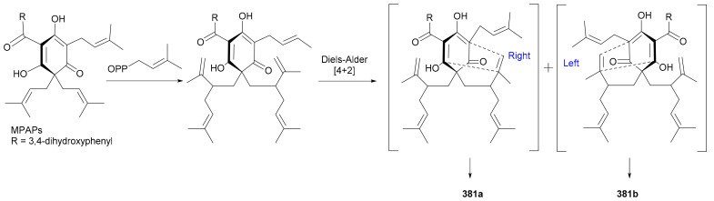 Scheme 6