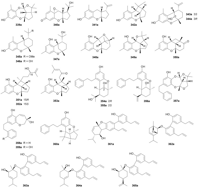 Figure 20