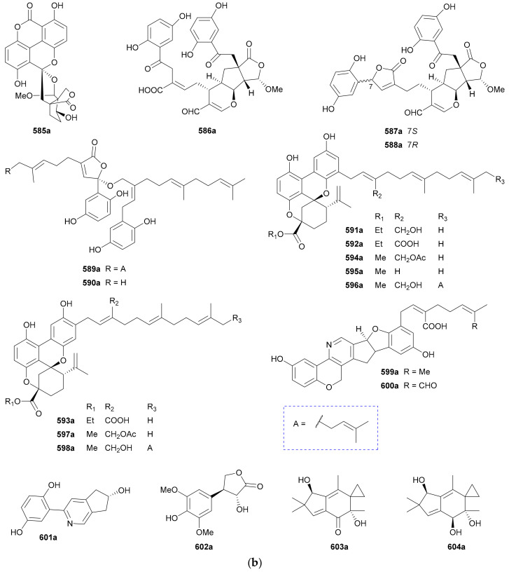 Figure 31