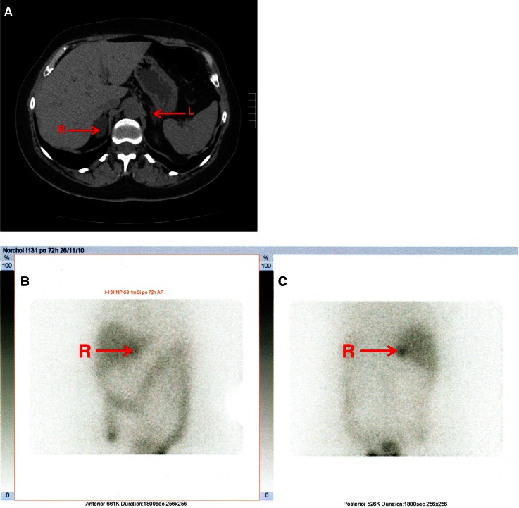 Fig. 1