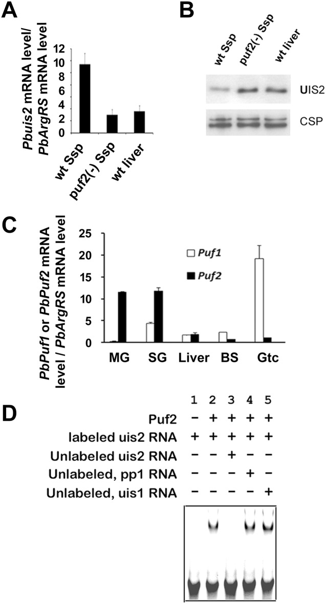 Fig 5