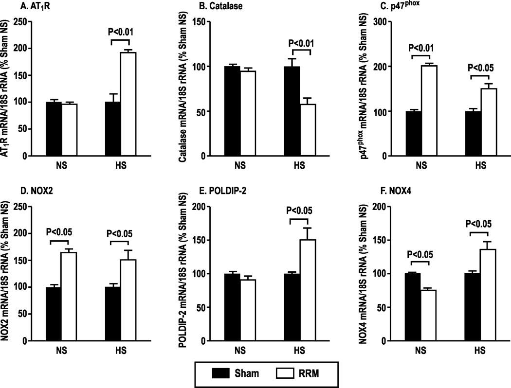 Figure 2: