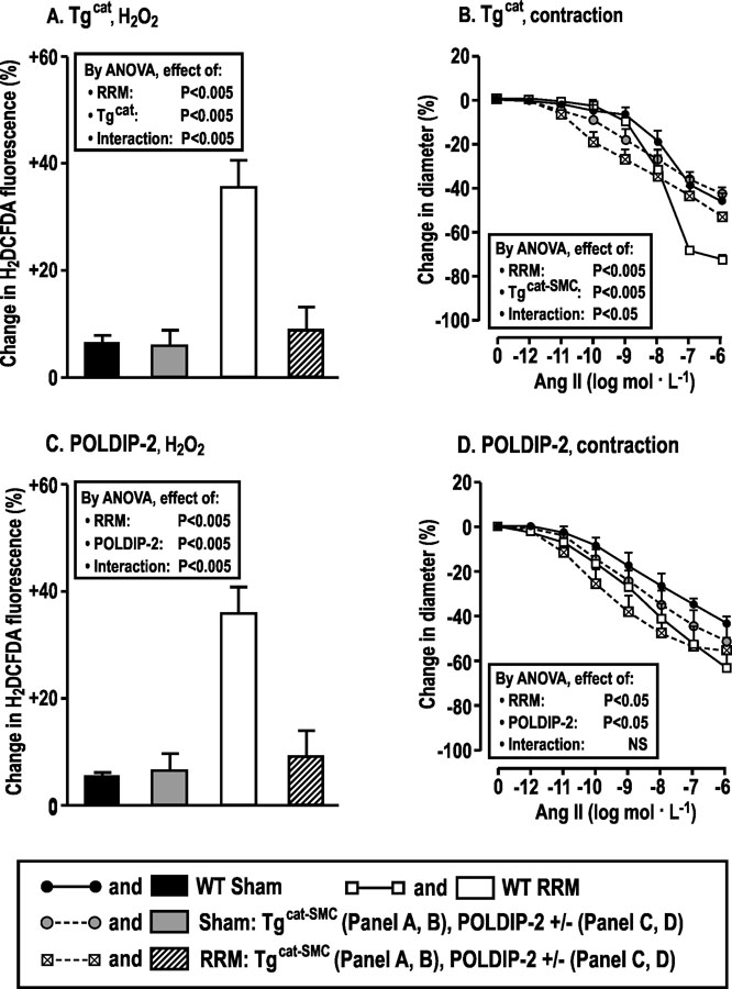 Figure 5: