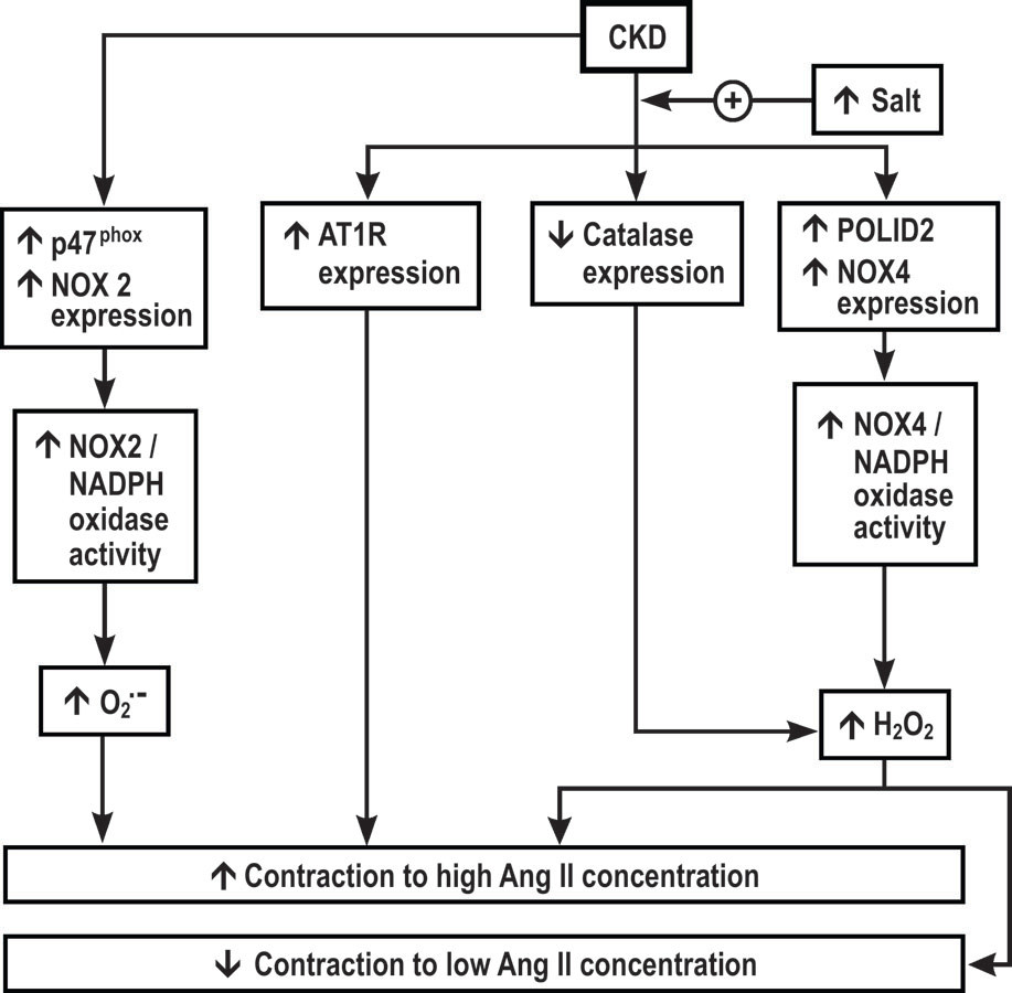 Figure 6: