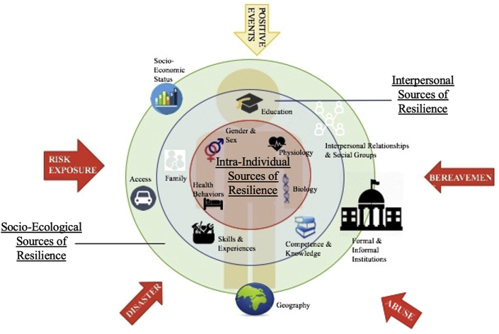 Figure 1