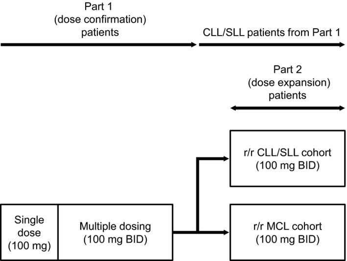FIGURE 1