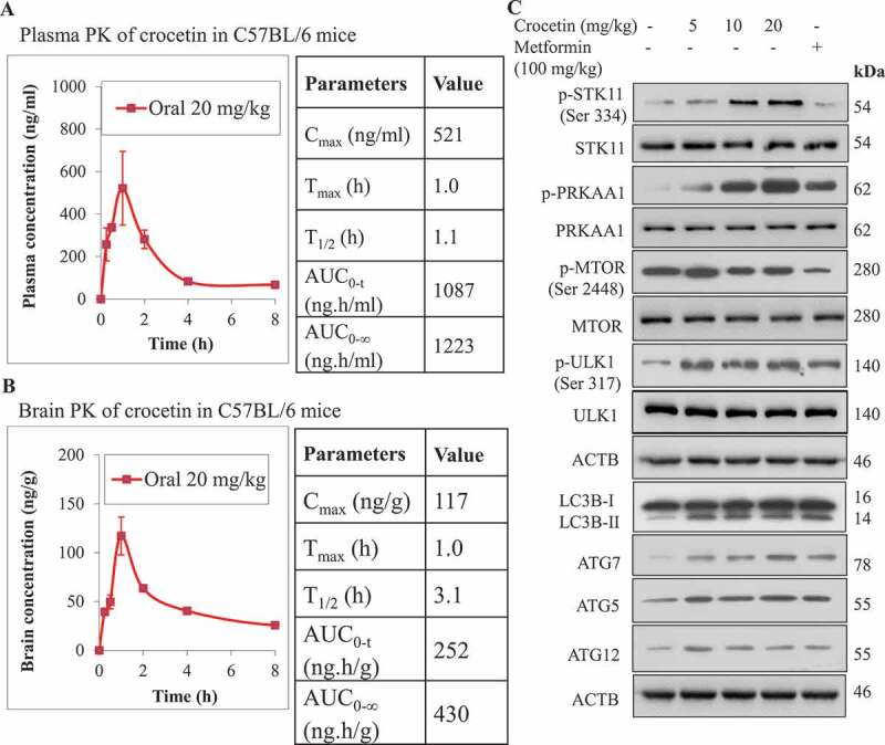 Figure 3.