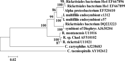 FIG. 1.