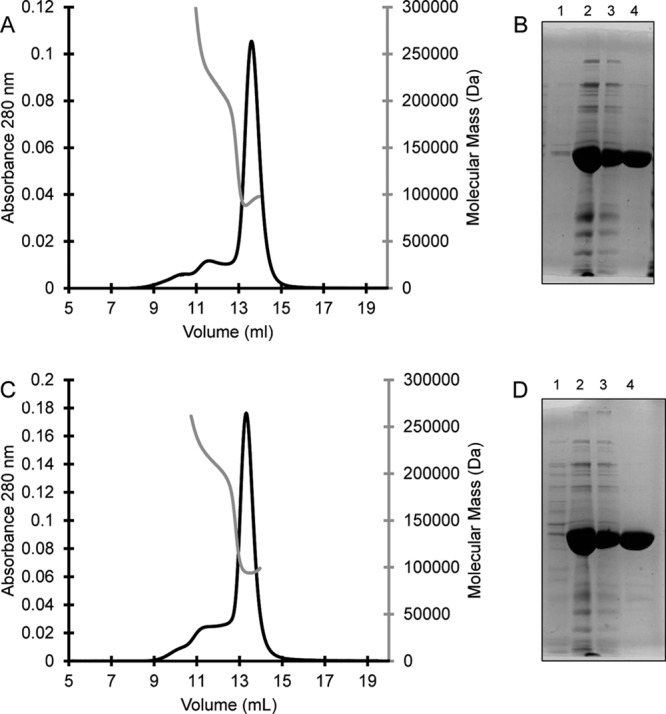 FIG 2