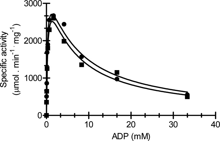 FIG 5